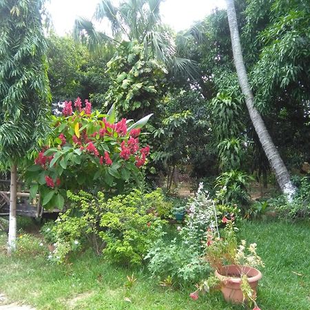 Hostal Casa Vieja Chiquimula Dış mekan fotoğraf