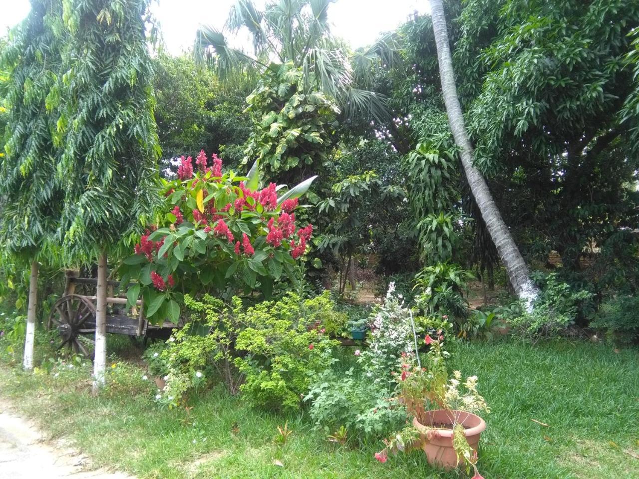Hostal Casa Vieja Chiquimula Dış mekan fotoğraf